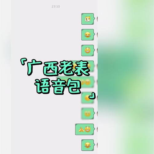广西语音包截图