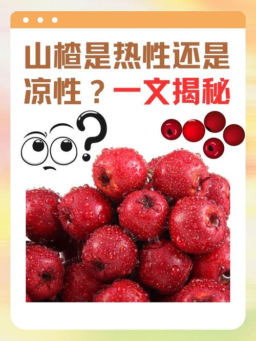 山楂视频不看不行