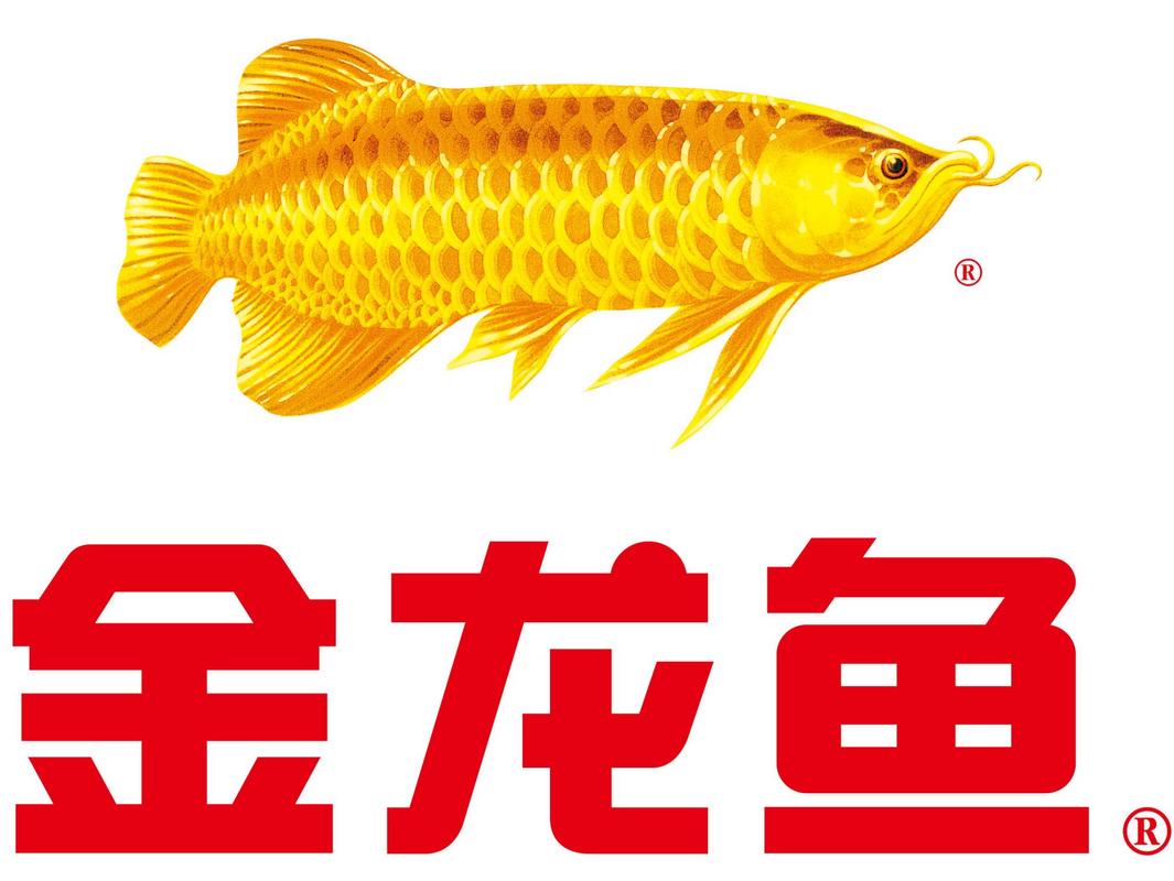 双龙鱼