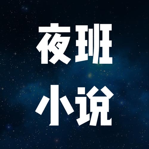 夜班小说免费版v