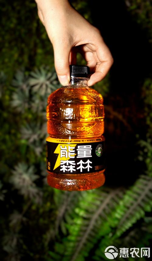 能量森林手机