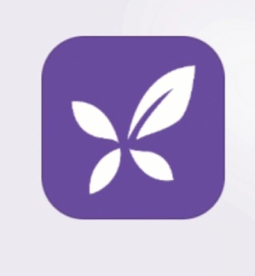 丁香交友