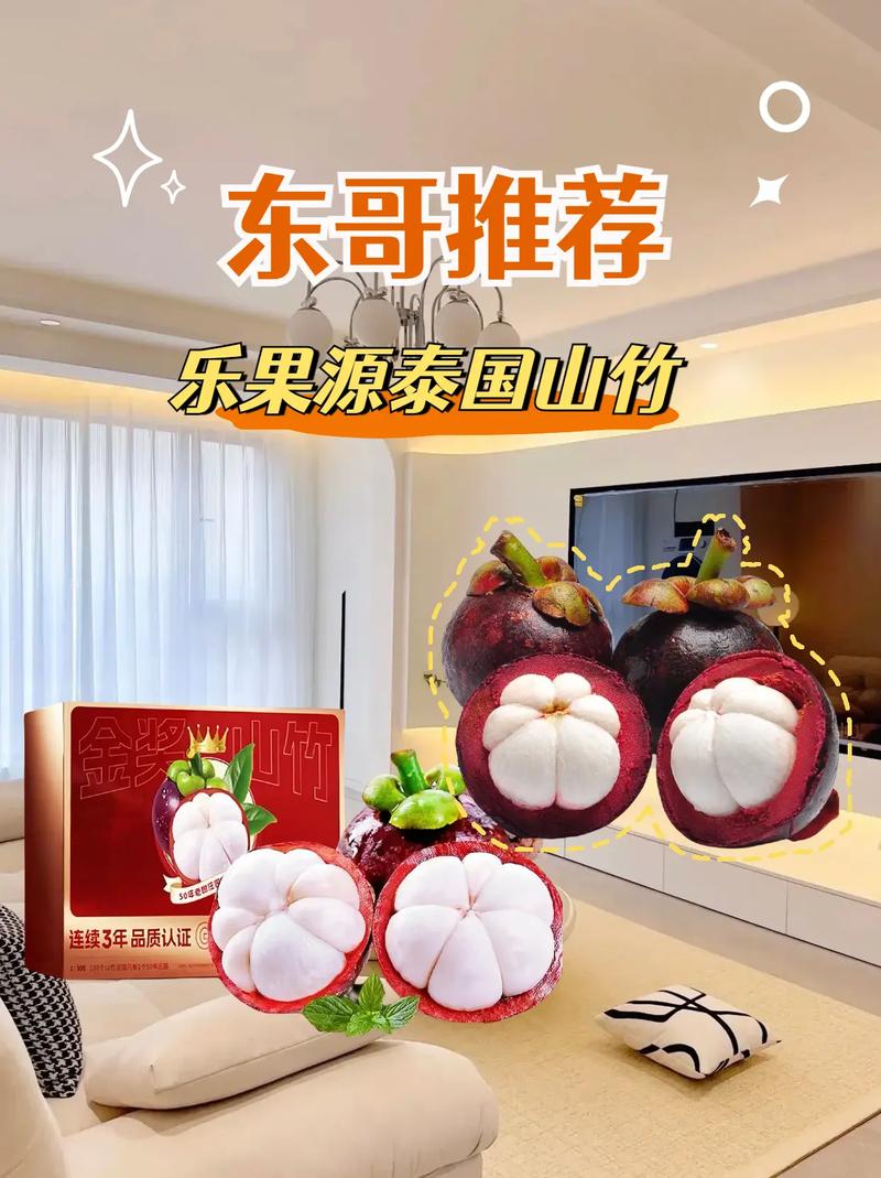 山竹视频正版红包版