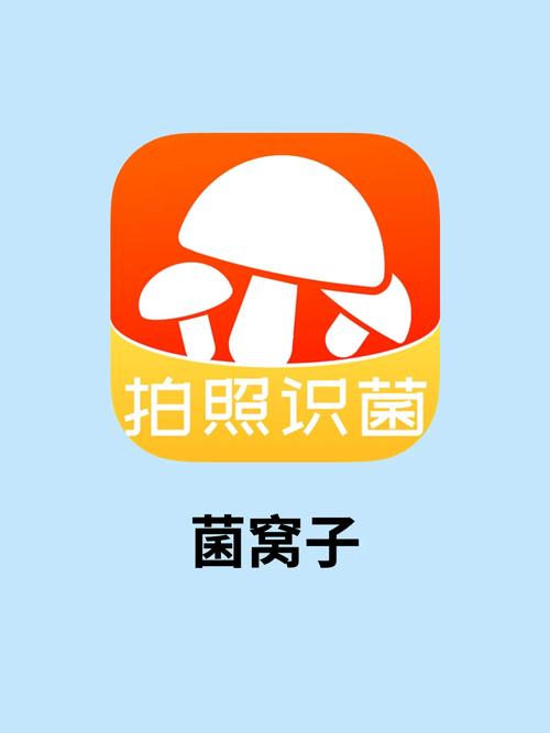 小蘑菇打码安卓版