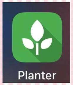 种菜模拟器