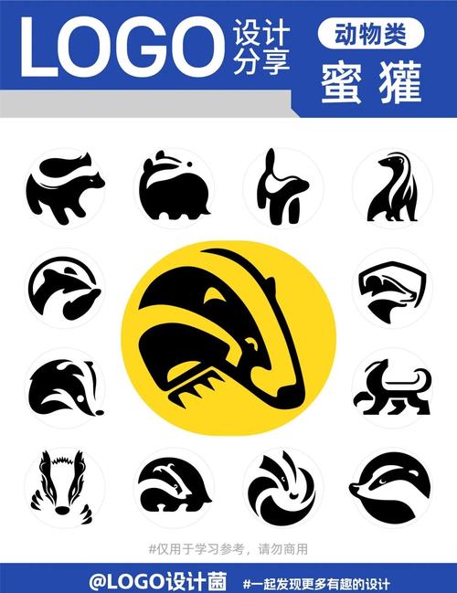 蜜獾快跑