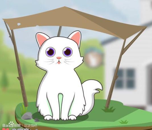 摩根区块猫抢猫赚
