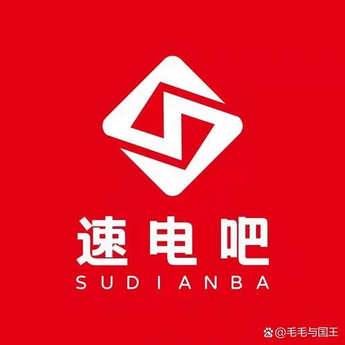 共享速电