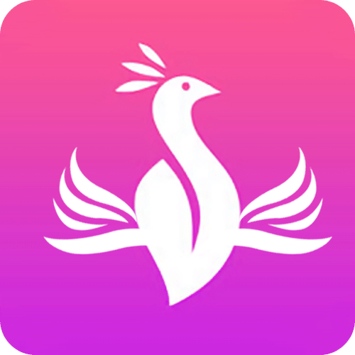 金凤网app