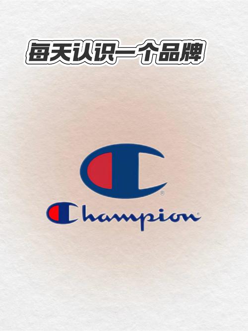 抢单冠军