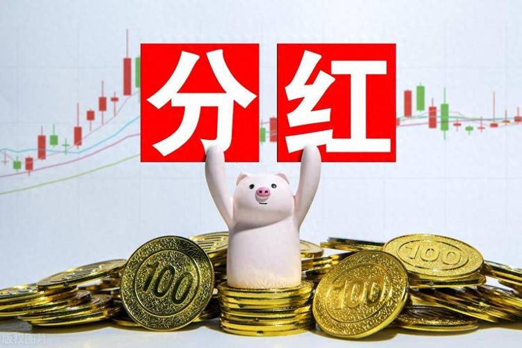 今日分红
