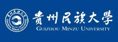 2020年贵州民