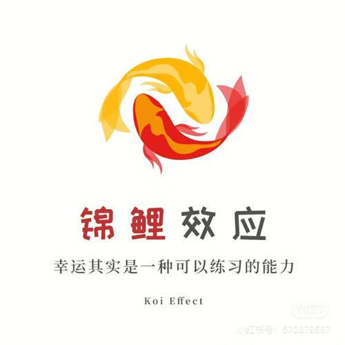 锦鲤网转发文章赚