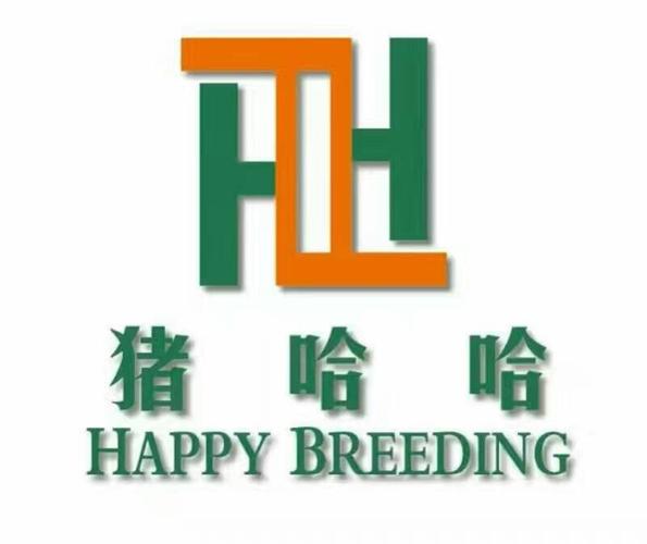 哈哈猪
