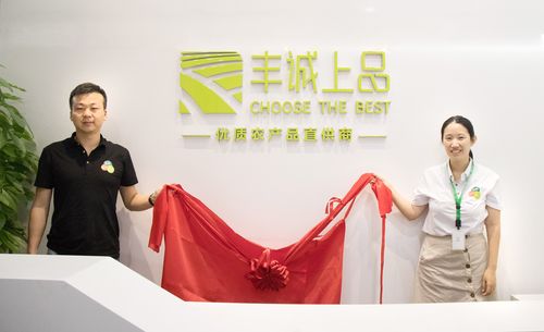 丰诚上品商城