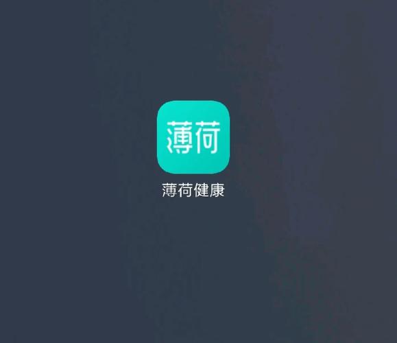 薄荷转转v1.0.0