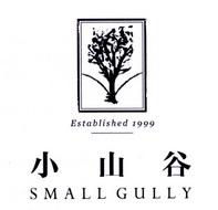 小小山谷