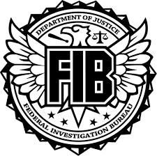 FIB离子计划