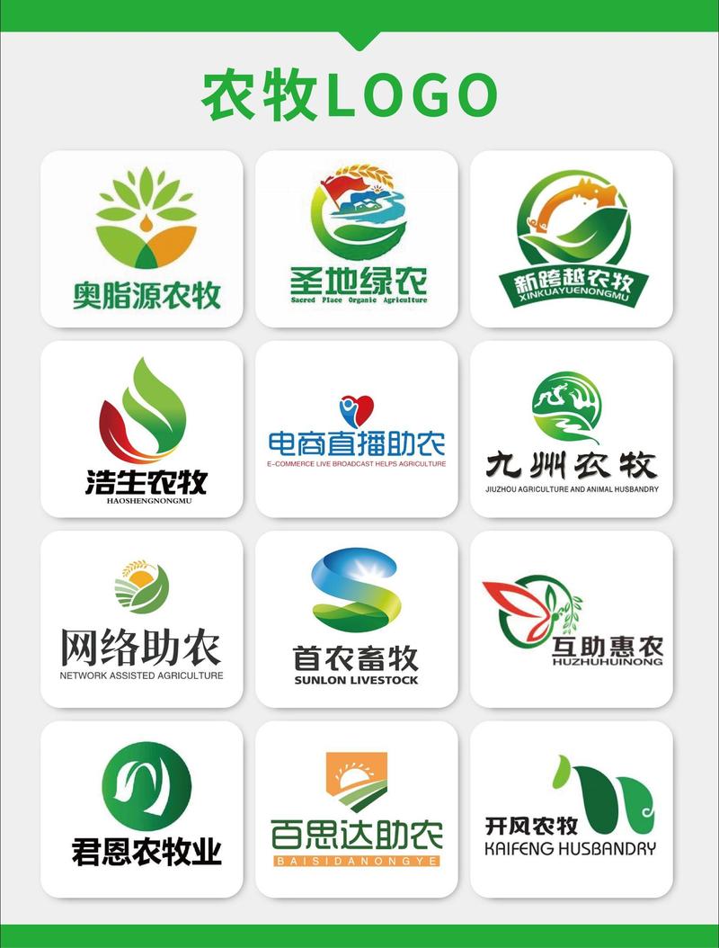 农场种蔬菜赚钱小