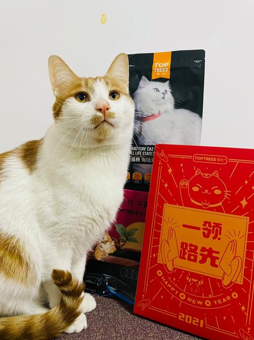 小小铲屎官红包版
