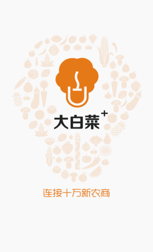 大白菜接单手机版