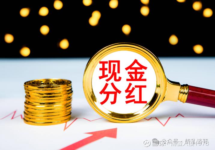 分红车挣钱版