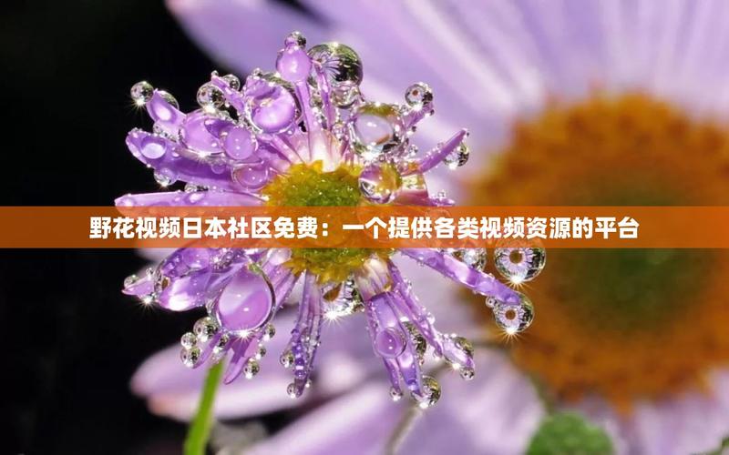 野花社区视频日本最新版