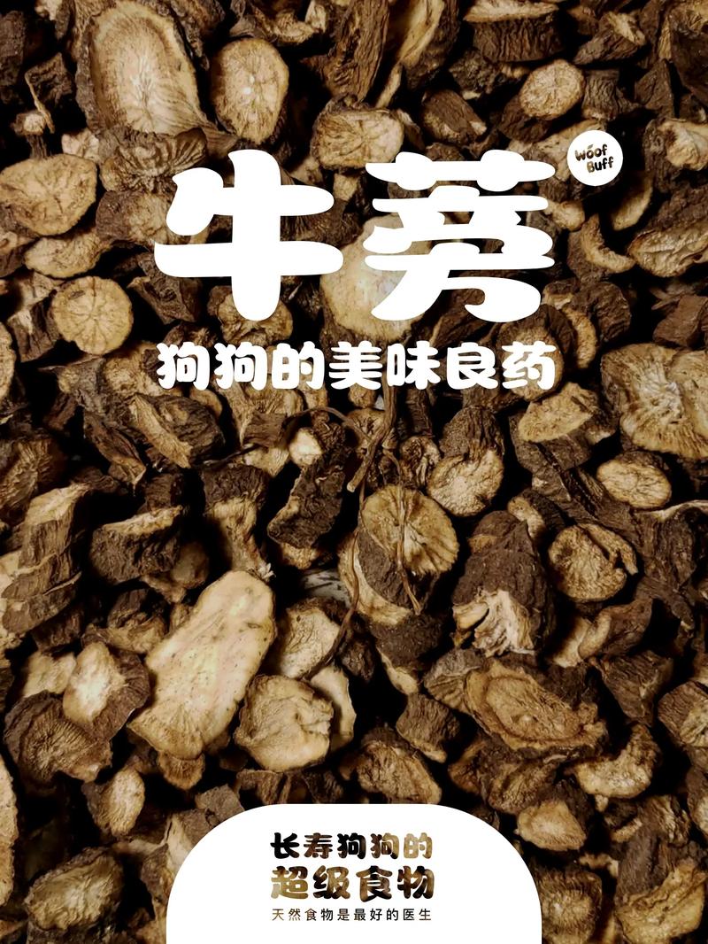牛蒡悬赏