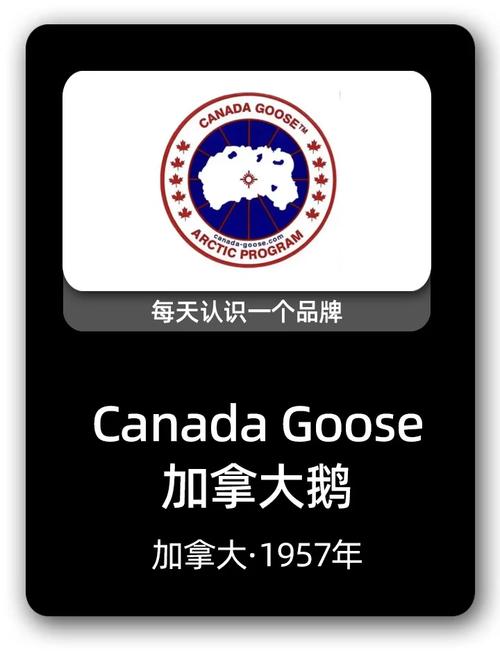 大鹅短视频v1.0