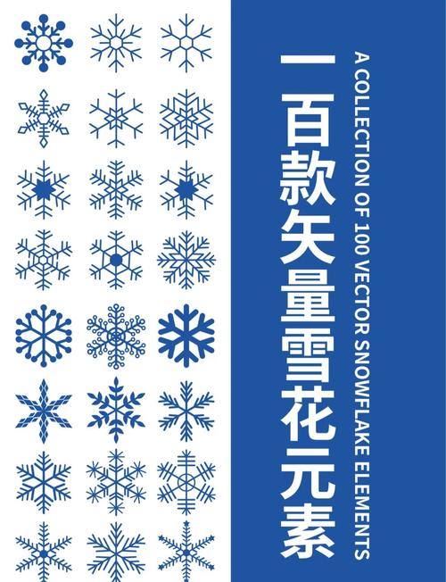 雪花网app