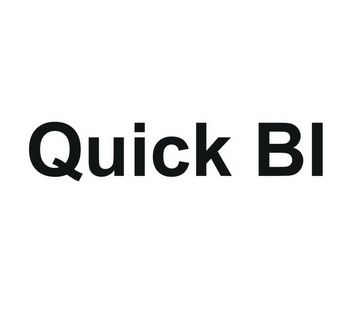 BI时代