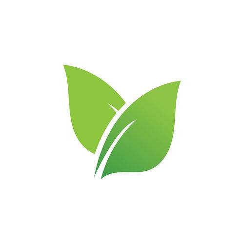 叶子短视频最新版v1.5.2