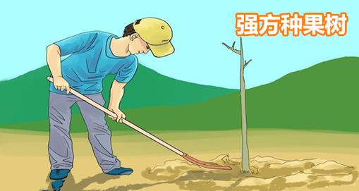 强方种树红包版