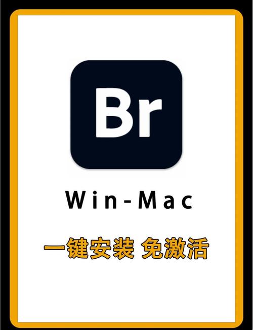 br至尊助手挂机