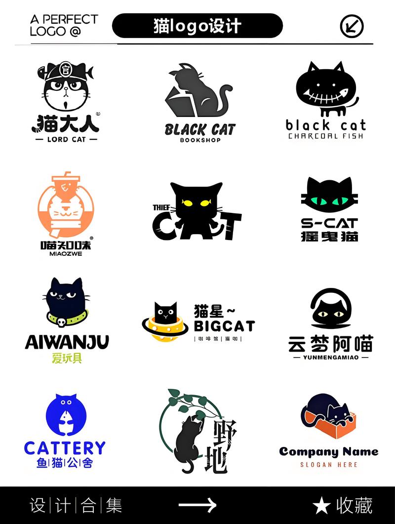 赏多猫截图