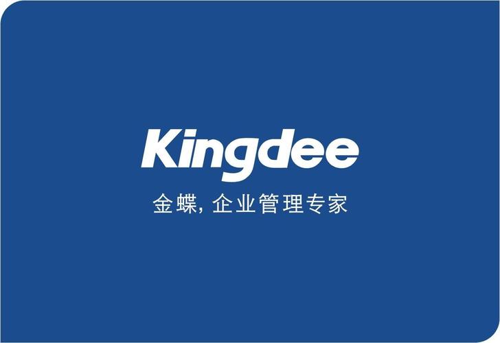 金蝶网安装