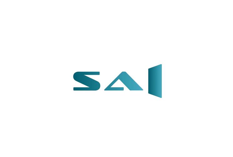 saivian赛