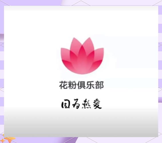 花粉视频