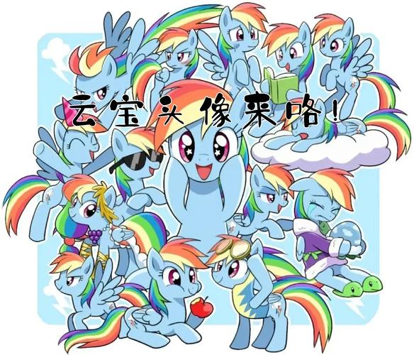 云宠宝贝