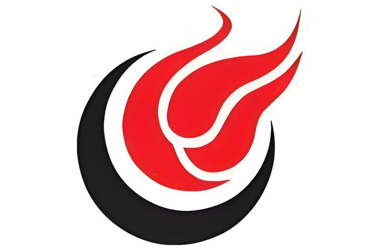 网信传媒