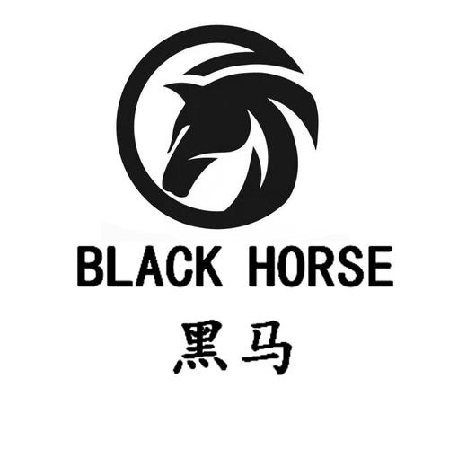 随手黑马