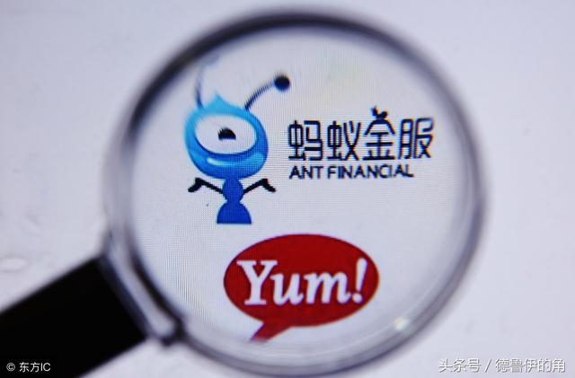 蚂蚁微客app官网版