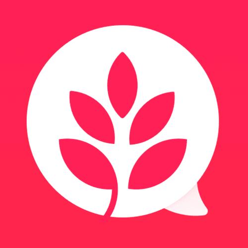 魔力网拍