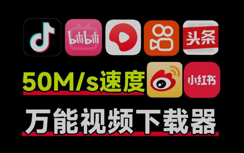 短视频解析工具小
