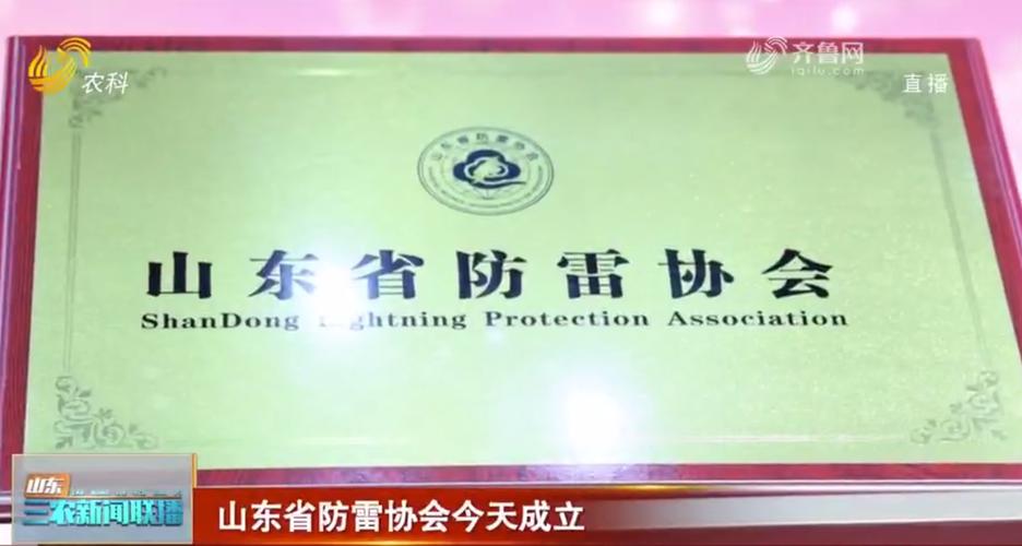 2021山东省防