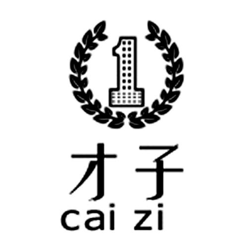 才子书屋网站免费