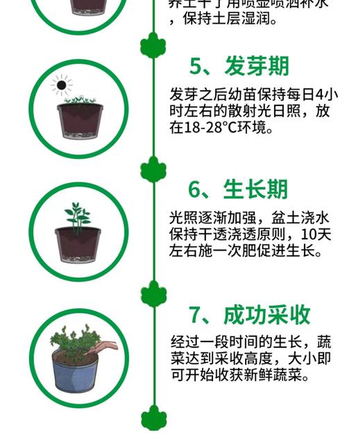 种菜大亨分红树