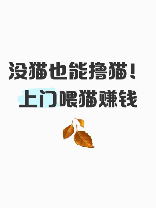天天撸猫养猫赚钱