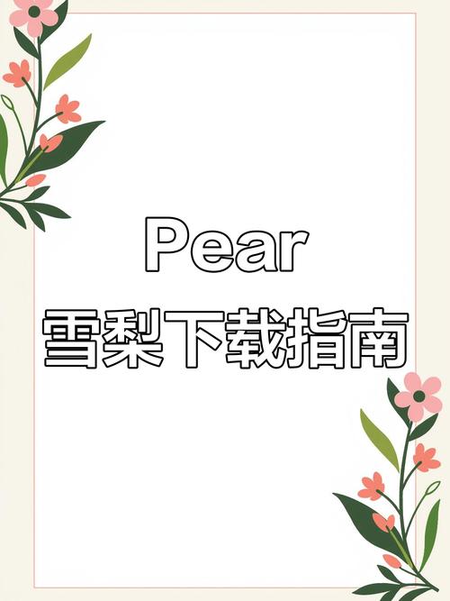 台湾pear雪梨