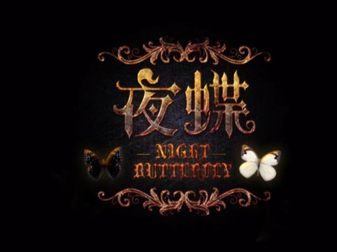 夜蝶tv